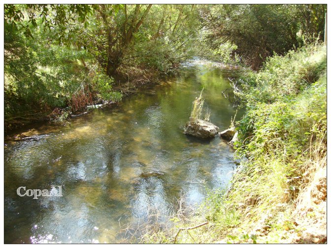 Hoces_Duraton_CopaAl_04