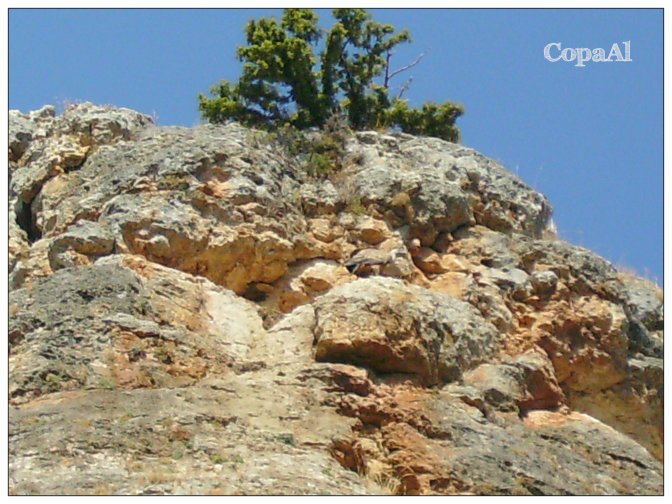 Hoces_Duraton_CopaAl_05