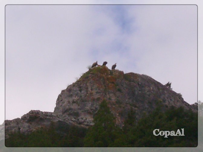 CopaAl_Cañón_Río_Lobos_13