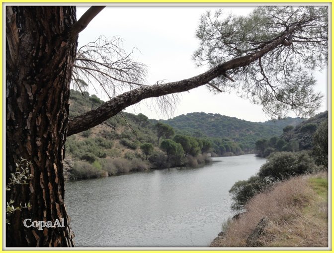 CopaAl_Embalse_de_Picadas_03