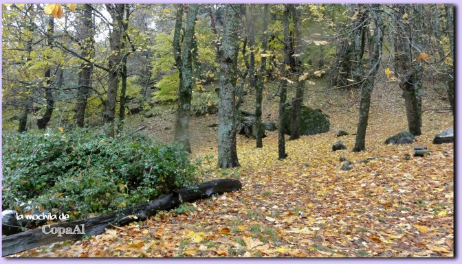 copaal_sima-de-los-pastores_02