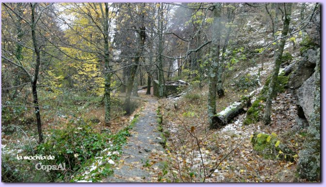 copaal_sima-de-los-pastores_03