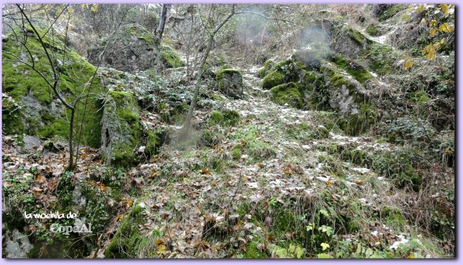 copaal_sima-de-los-pastores_04