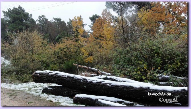 copaal_sima-de-los-pastores_06