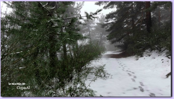 copaal_sima-de-los-pastores_07