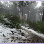 Sima de los Pastores. El tesoro escondido.