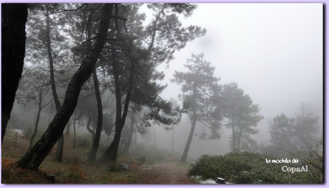 copaal_sima-de-los-pastores_10