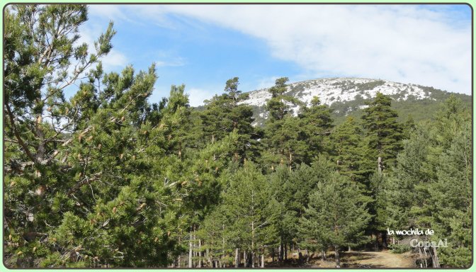 copaal_garganta_rio_moros_06