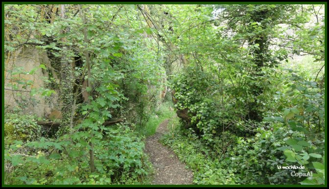 CopaAl_Hoz_Júcar_Alarcón_17