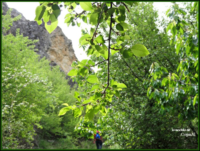 CopaAl_Barranco_Río_Dulce_10