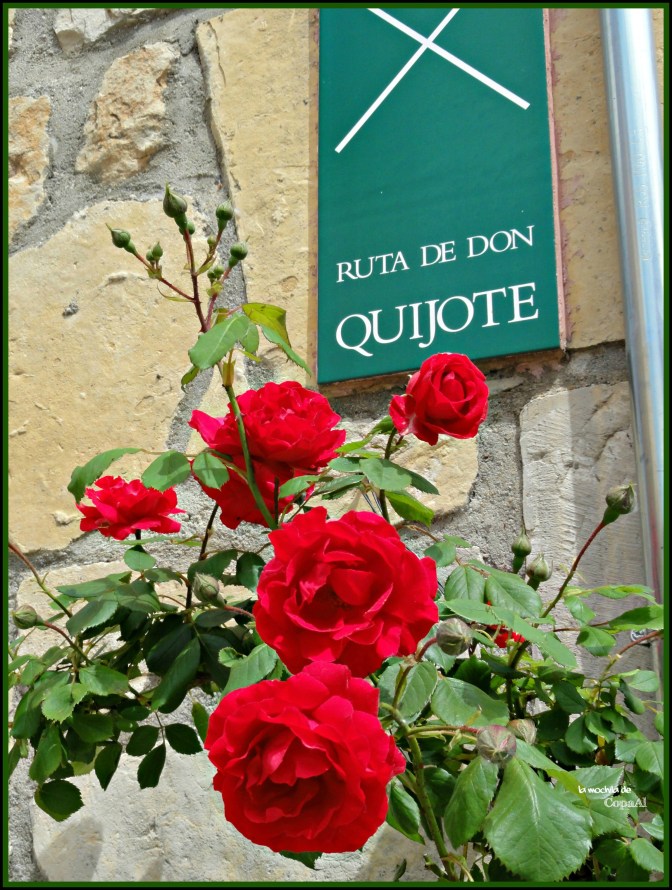 CopaAl_Barranco_Río_Dulce_13