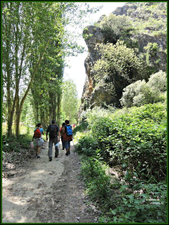 CopaAl_Barranco_Río_Dulce_16