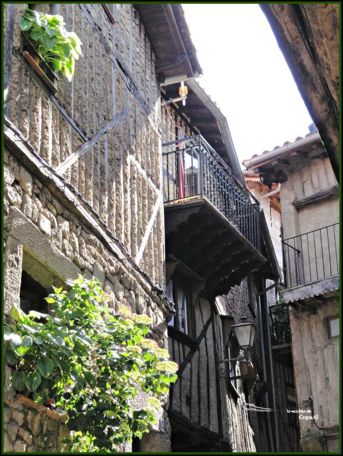 CopaAl_La_Alberca_07