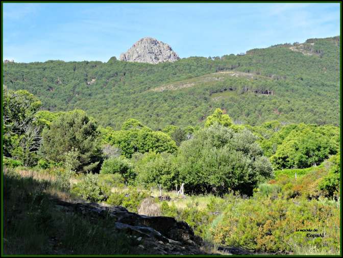 CopaAl_Peña_de_Francia_02