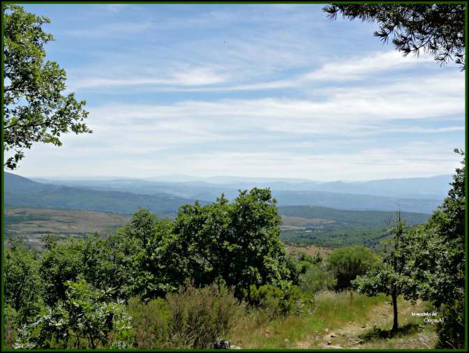 CopaAL_Peña_de_Francia_08