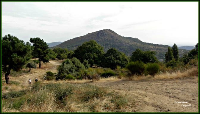 CopaAl_Castañar de la Tejea_02