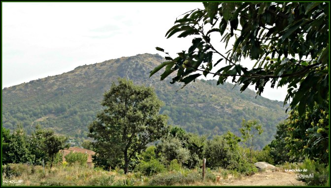 CopaAl_Castañar de la Tejea_05