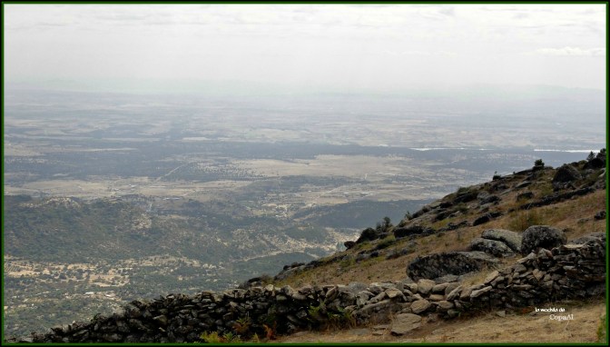 CopaAl_Castañar de la Tejea_14