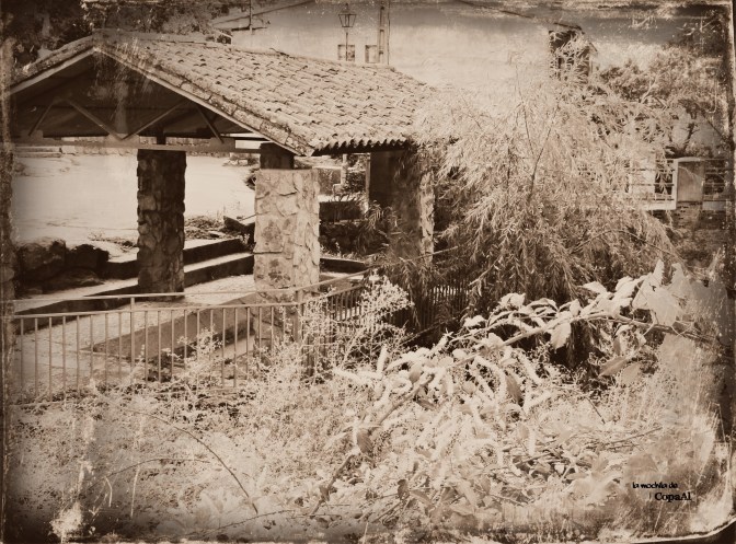 CopaAl_Castañar de la Tejea_25