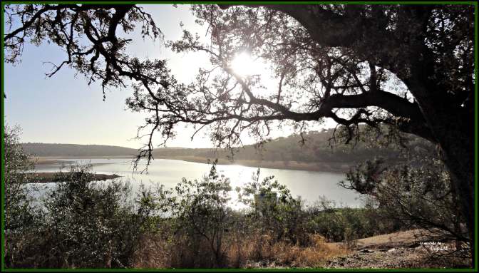 CopaAl_Pque_Nat_Cornalvo_03