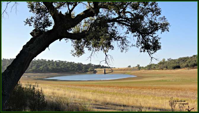 CopaAl_Pque_Nat_Cornalvo_12