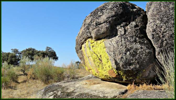 CopaAl_Pque_Nat_Cornalvo_17