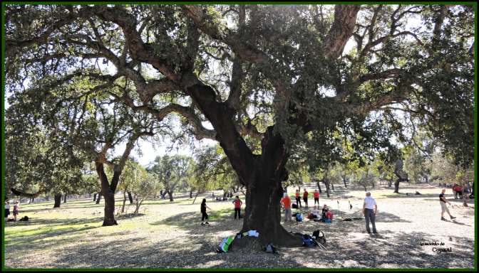 CopaAl_Pque_Nat_Cornalvo_22