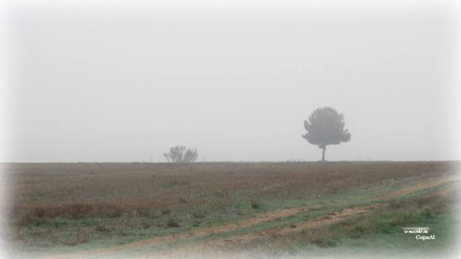 CopaAl_Las Tres Villas_03