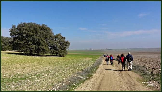 CopaAl_Las Tres Villas_12