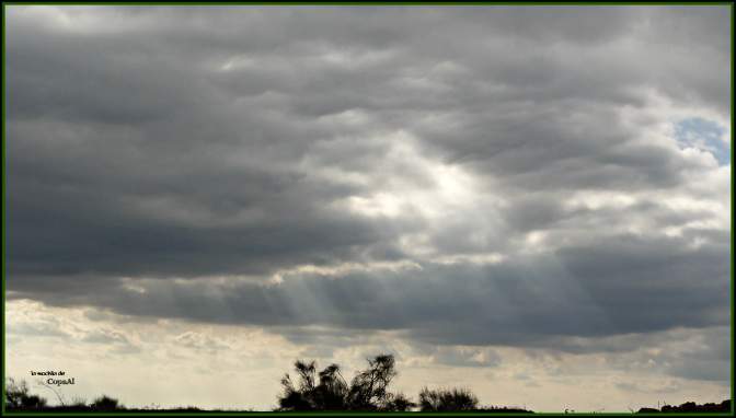 CopaAl_Las Tres Villas_24