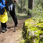 Beneficios de la práctica del senderismo en tu mente