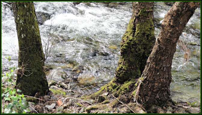 CopaAl_Senda de los Pescadores_03