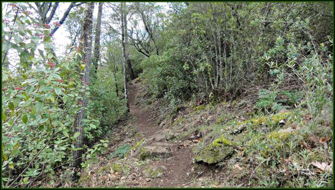 CopaAl_Senda de los Pescadores_11