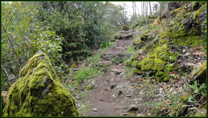 CopaAl_Senda de los Pescadores_13