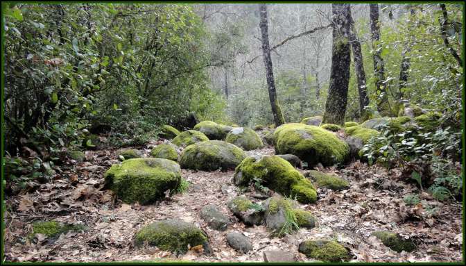 CopaAl_Senda de los Pescadores_18