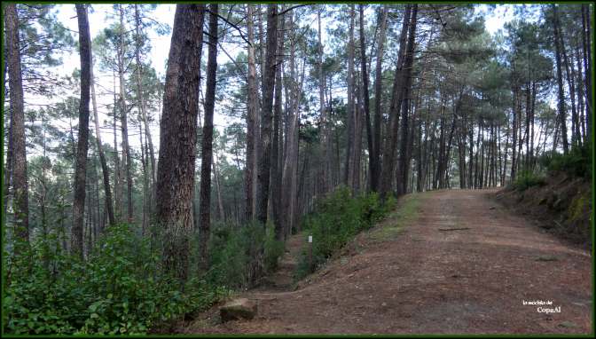 CopaAl_Senda de los Pescadores_28