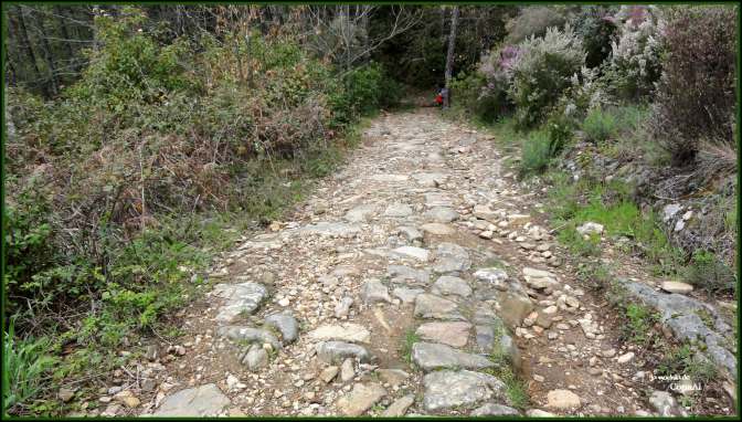 CopaAl_Senda de los Pescadores_32