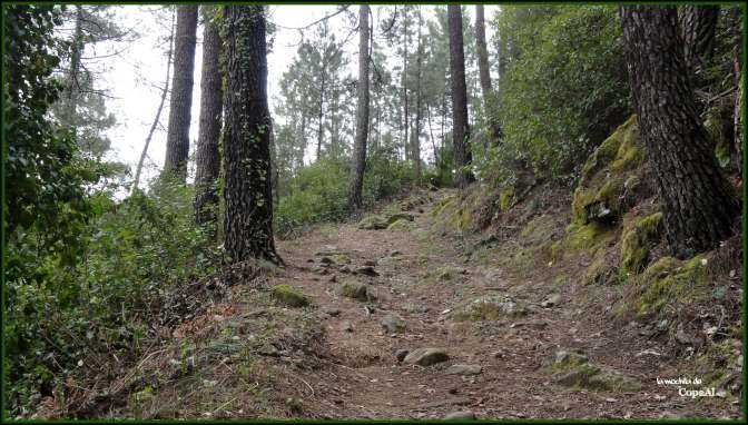 CopaAl_Senda de los Pescadores_33