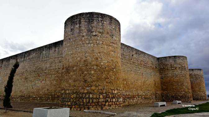 26_CopaAl_Toro_Alcázar