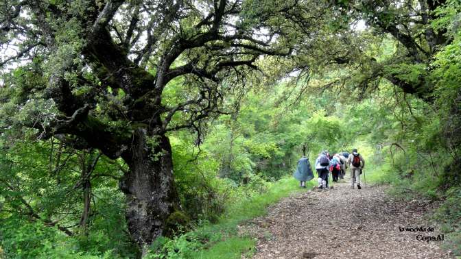 CopaAl_Balcón_Pilatos_Urbasa_03