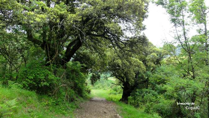 CopaAl_Balcón_Pilatos_Urbasa_05