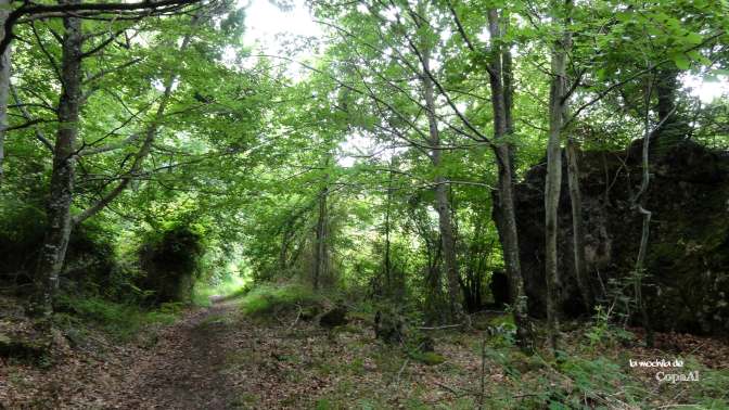 CopaAl_Balcón_Pilatos_Urbasa_07