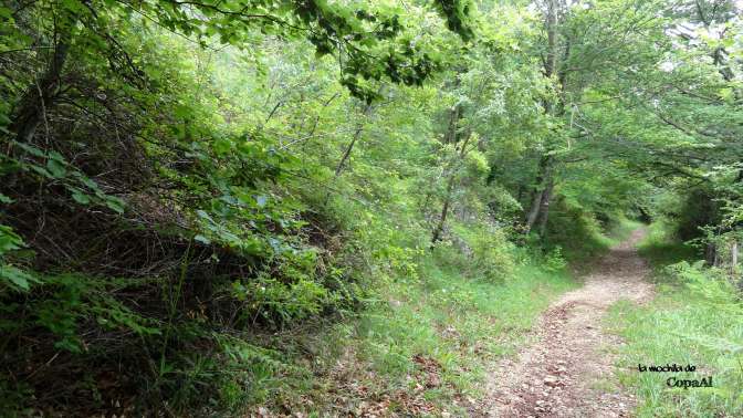 CopaAl_Balcón_Pilatos_Urbasa_09