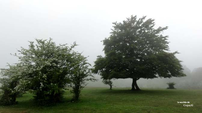 CopaAl_Balcón_Pilatos_Urbasa_14