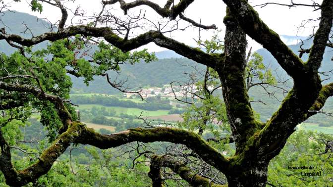 CopaAl_Balcón_Pilatos_Urbasa_18