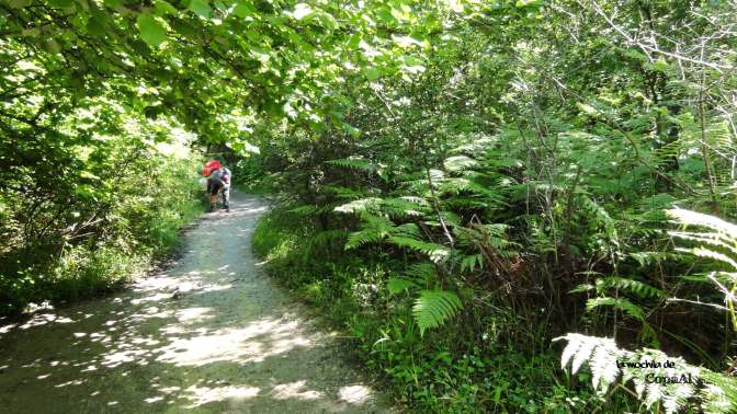 CopaAl_Nacedero_Urederra_01