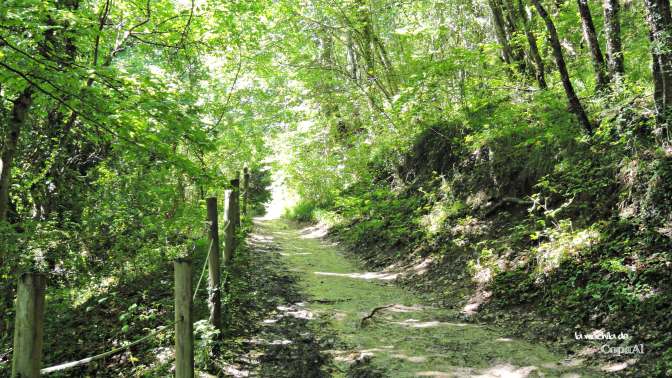 CopaAl_Nacedero_Urederra_02