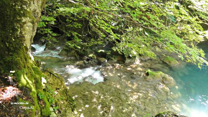 CopaAl_Nacedero_Urederra_03