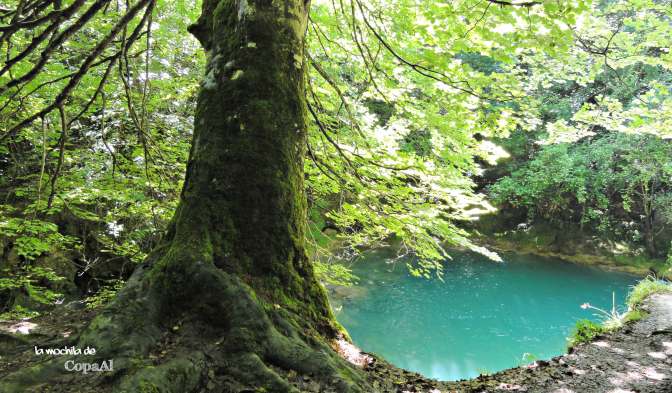 CopaAl_Nacedero_Urederra_05