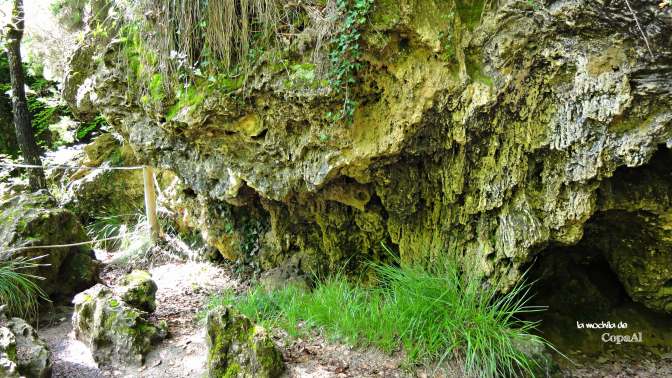 CopaAl_Nacedero_Urederra_06